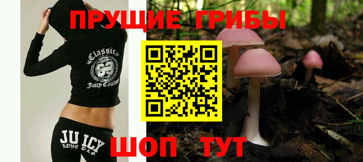продажа наркотиков  Псилоцибиновые грибы мухоморы  Вход с VPN  Чехов  Галлюциногенные грибы мицелий 